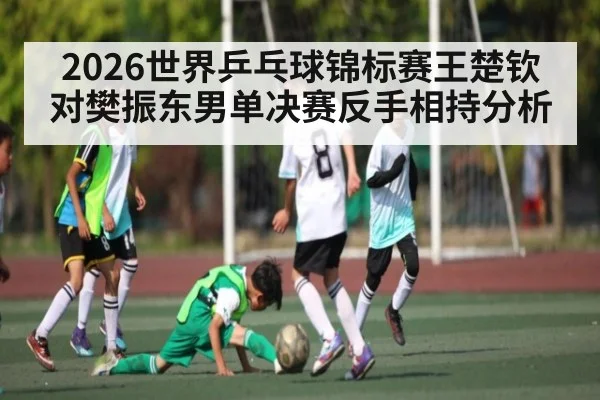 2026世界乒乓球锦标赛王楚钦对樊振东男单决赛反手相持分析